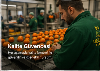 Kalite güvencesi