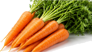 Havuç