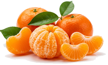 Mandalina