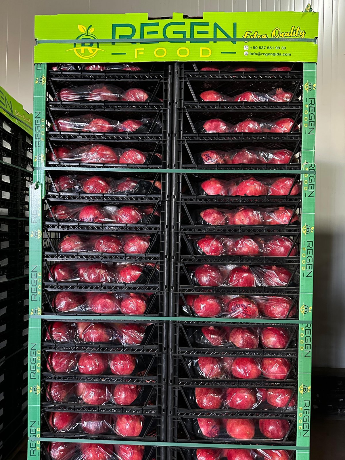 Paketleme & Etiketleme